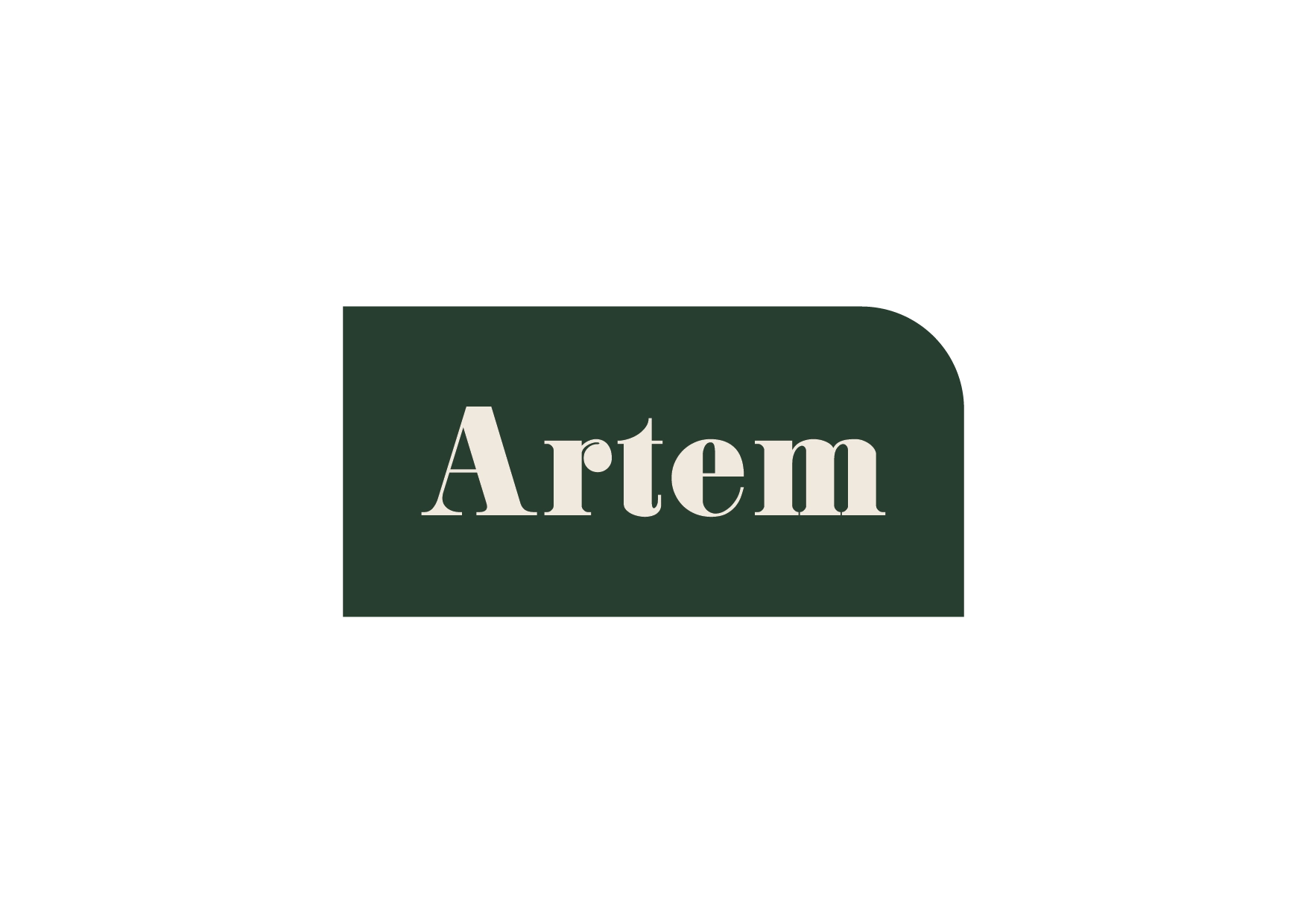 artem Brand Identity